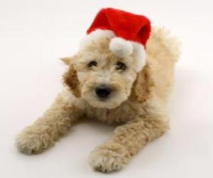 Rompicapo di Cucciolo elegante per le celebrazioni di Natale con un cappello