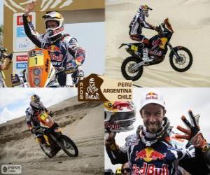 Rompicapo di Cyril Despres, Dakar 2013