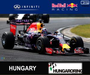 Rompicapo di D. Ricciardo G. P d'Ungheria 15