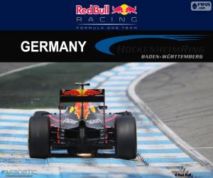 Rompicapo di D. Ricciardo, GP di Germania 2016