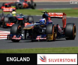 Rompicapo di Daniel Ricciardo - Toro Rosso - Silverstone, 2013