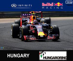 Rompicapo di Daniil Kvyat G. P d'Ungheria 15