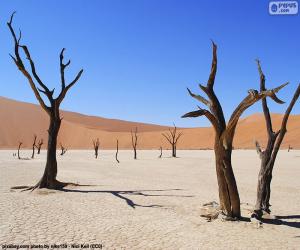 Rompicapo di Deadvlei, Namibia