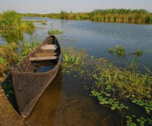 Rompicapo di Delta del Danubio, il delta più grandi e meglio conservati d'Europa. Romania.