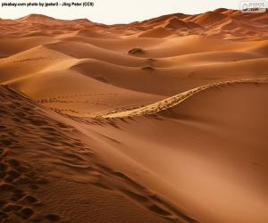 Rompicapo di Deserto del Marocco