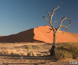 Rompicapo di Deserto del Namib, Namibia