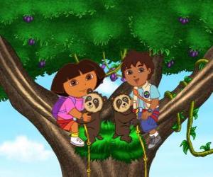 Rompicapo di Dora e il cugino Diego in un albero due orsetti aiutare