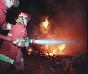 Rompicapo di Due vigili del fuoco in azione