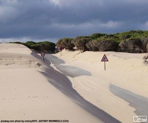 Rompicapo di Dune, strada