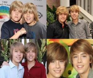 Rompicapo di Dylan e Cole Sprouse sono due giocatori italiani che risiedono negli Stati Uniti