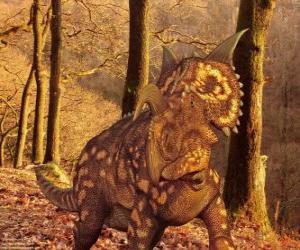 Rompicapo di Einiosaurus procurvicornis è un dinosauro solo Montana, Stati Uniti