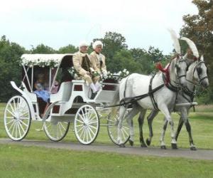 Rompicapo di Elegante carrozza