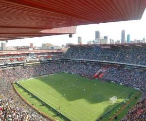 Rompicapo di Ellis Park Stadium (61.639), Johannesburg