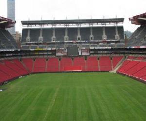 Rompicapo di Ellis Park Stadium (61.639), Johannesburg