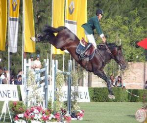 Rompicapo di Equitazione - Cavallo e cavaliere nel esercizio de salto