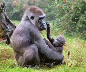 Rompicapo di Famiglia di gorilla