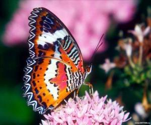 Rompicapo di Farfalla su un fiore