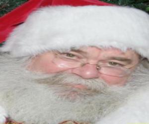 Rompicapo di Felice con la sua Santa Claus cappello e barba bianca