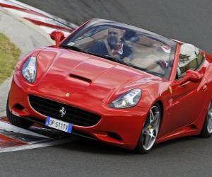 Rompicapo di Felipe Massa alla guida di una Ferrari California - Hungaroring 2010 -