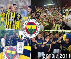 Rompicapo di Fenerbahçe SK, campione del campionato di calcio turco, Super Lig 2010-2011