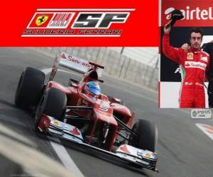 Rompicapo di Fernando Alonso - Ferrari - Gran Premio del India 2012, 2 ° classificata