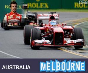 Rompicapo di Fernando Alonso - Ferrari - Gran Premio di Australia 2013, 2º classificato