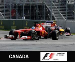 Rompicapo di Fernando Alonso - Ferrari - Grand Prix del Canada 2013, 2º classificato
