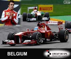 Rompicapo di Fernando Alonso - Ferrari - Gran Premio Belgio 2013, 2º classificato