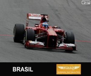 Rompicapo di Fernando Alonso - Ferrari - Gran Premio del Brasile 2013, 3 ° classificato