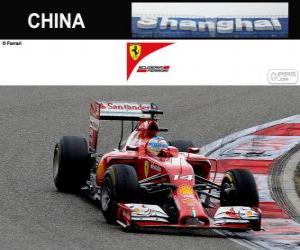 Rompicapo di Fernando Alonso - Ferrari - Gran Premio della Cina 2014, 3 ° classificato