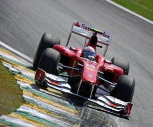 Rompicapo di Fernando Alonso - Ferrari - Interlagos 2010