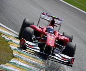 Rompicapo di Fernando Alonso - Ferrari - Interlagos 2010