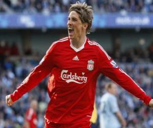 Rompicapo di Fernando Torres celebrazione dell gol
