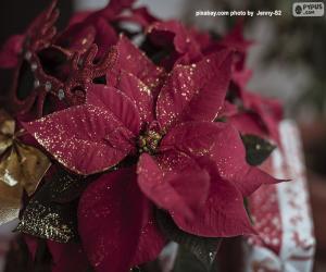 Rompicapo di Fiore di Natale luminoso