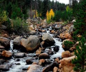 Rompicapo di Fiume di montagna