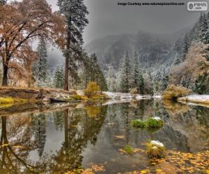 Rompicapo di Fiume Merced, California