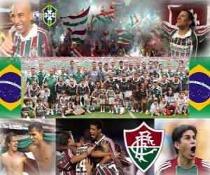 Rompicapo di Fluminense Football Club Campione del Campionato brasiliano 2010