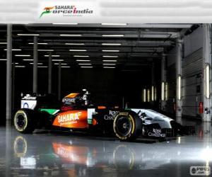 Rompicapo di Force India VJM 07 - 2014 - 