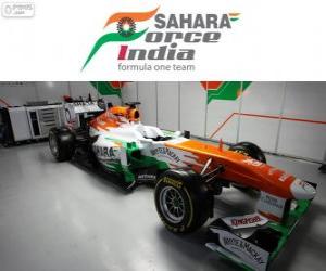 Rompicapo di Force India VJM06 - 2013 -