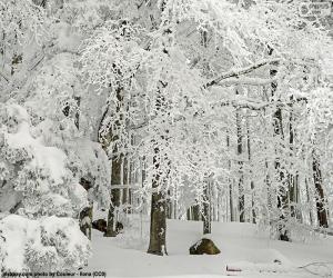 Rompicapo di Foresta completamente nevicato