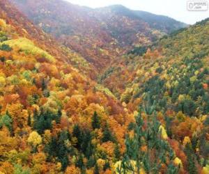 Rompicapo di Foresta in colori autunnali