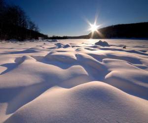 Rompicapo di Forme sinuose nel lago Eagle Ontario, Canada