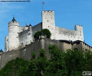 Rompicapo di Fortezza di Salisburgo