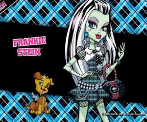 Rompicapo di Frankie Stein, la figlia del mostro Frankenstein e la sua sposa è di 15 giorni