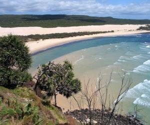 Rompicapo di Fraser Island è l'isola di sabbia lunga 122 chilometri ed è il più grande del mondo nel suo genere. Australia.