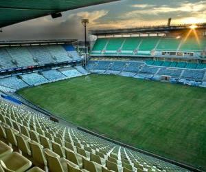Rompicapo di Free State Stadium (45.058), Mangaung - Bloemfontein