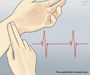Rompicapo di Frequenza cardiaca