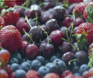 Rompicapo di Frutti di bosco