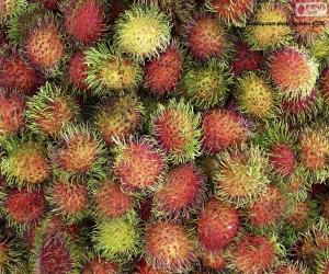 Rompicapo di Frutti di rambutan