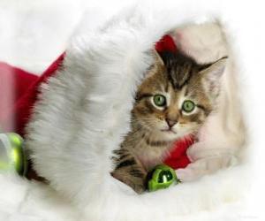 Rompicapo di Gattini entro il cappello da Babbo Natale